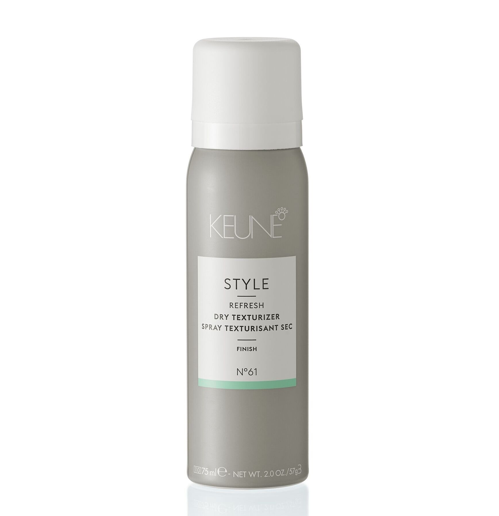 Сухой текстурайзер Style dry texturizer