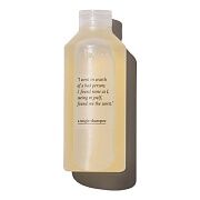 Шампунь Единственный в своём роде A single shampoo