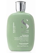 Шампунь энергетический против выпадения волос Sdl scalp energizing low shampoo