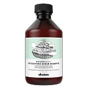 Детоксирующий шампунь-скраб Detoxifying scrub Shampoo