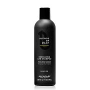 Шампунь энергетический деликатный Energizing low shampoo