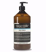 Шампунь нормализующий для жирной кожи головы и жирных волос Sebum shampoo 