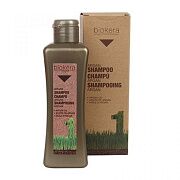 Шампунь с аргановым маслом для волос Biokera argan