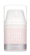 Крем вечерний восстановительный Homework perfect sorbet